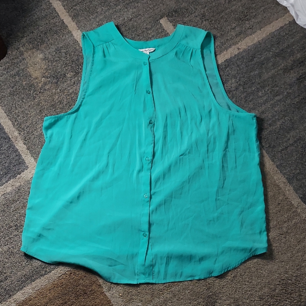 American Eagle Outfitters Turquoise Sleeveless Button-Down Top
